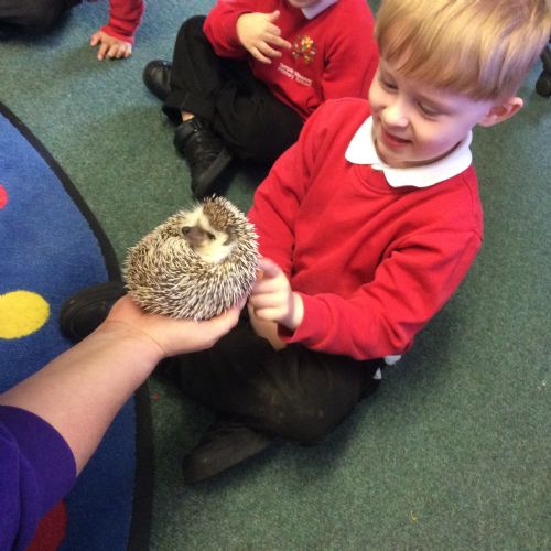 Nursery Animal Lady 20/03/24