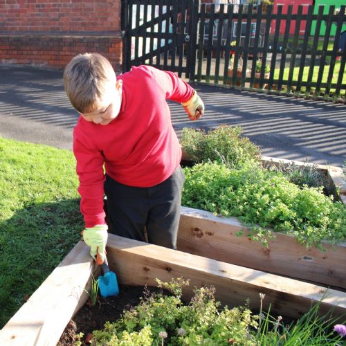 Eco Club