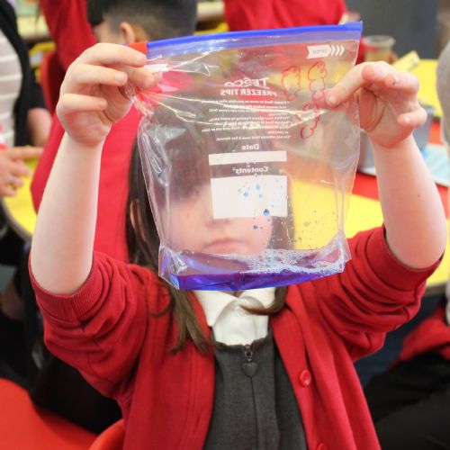 Science Club