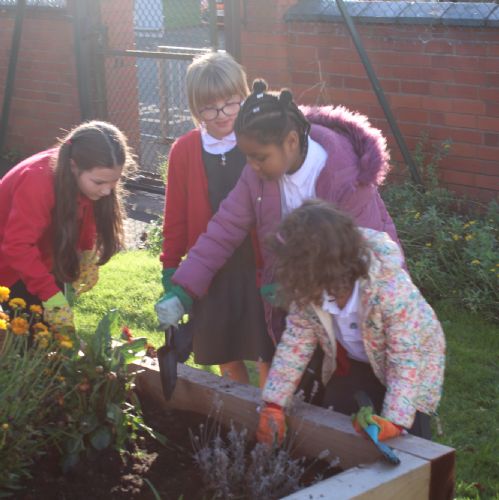 Eco  Club