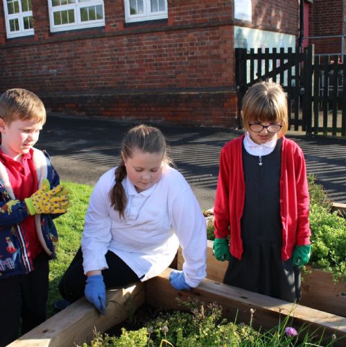 Eco Club